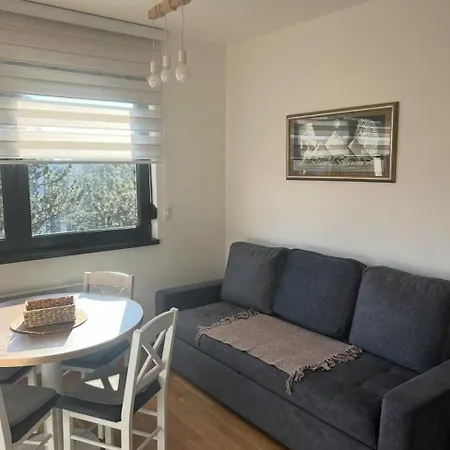 Ivor 25 * Златибор